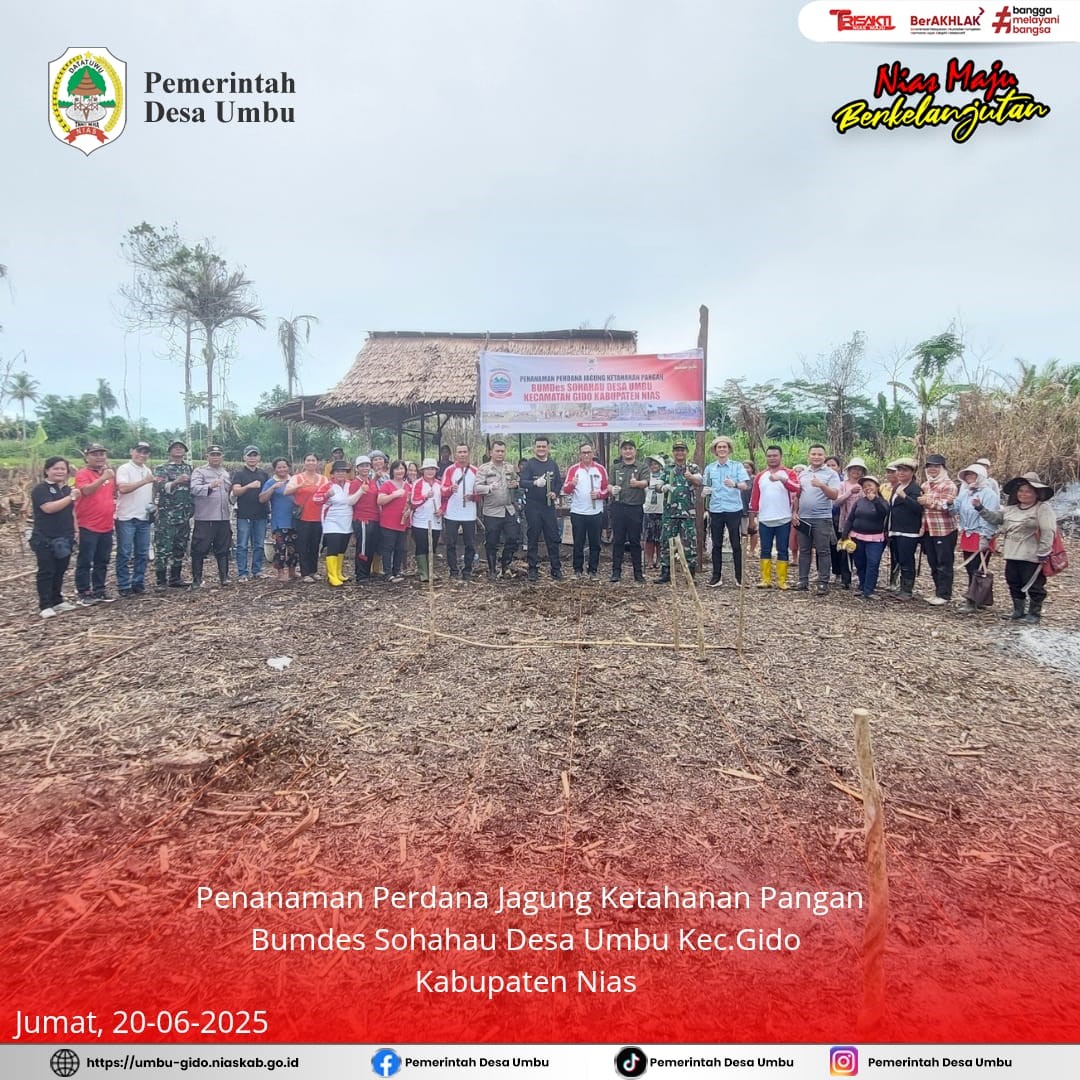 PENANAMAN PERDANA JAGUNG KETAHANAN PANGAN BUMDES SOHAHAU DESA UMBU KECAMATAN GIDO KABUPATEN NIAS TAHUN ANGGARAN 2025